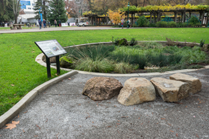 Library Green Sign