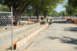 Jed Smith Drive concrete