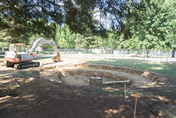 Library Green excavation